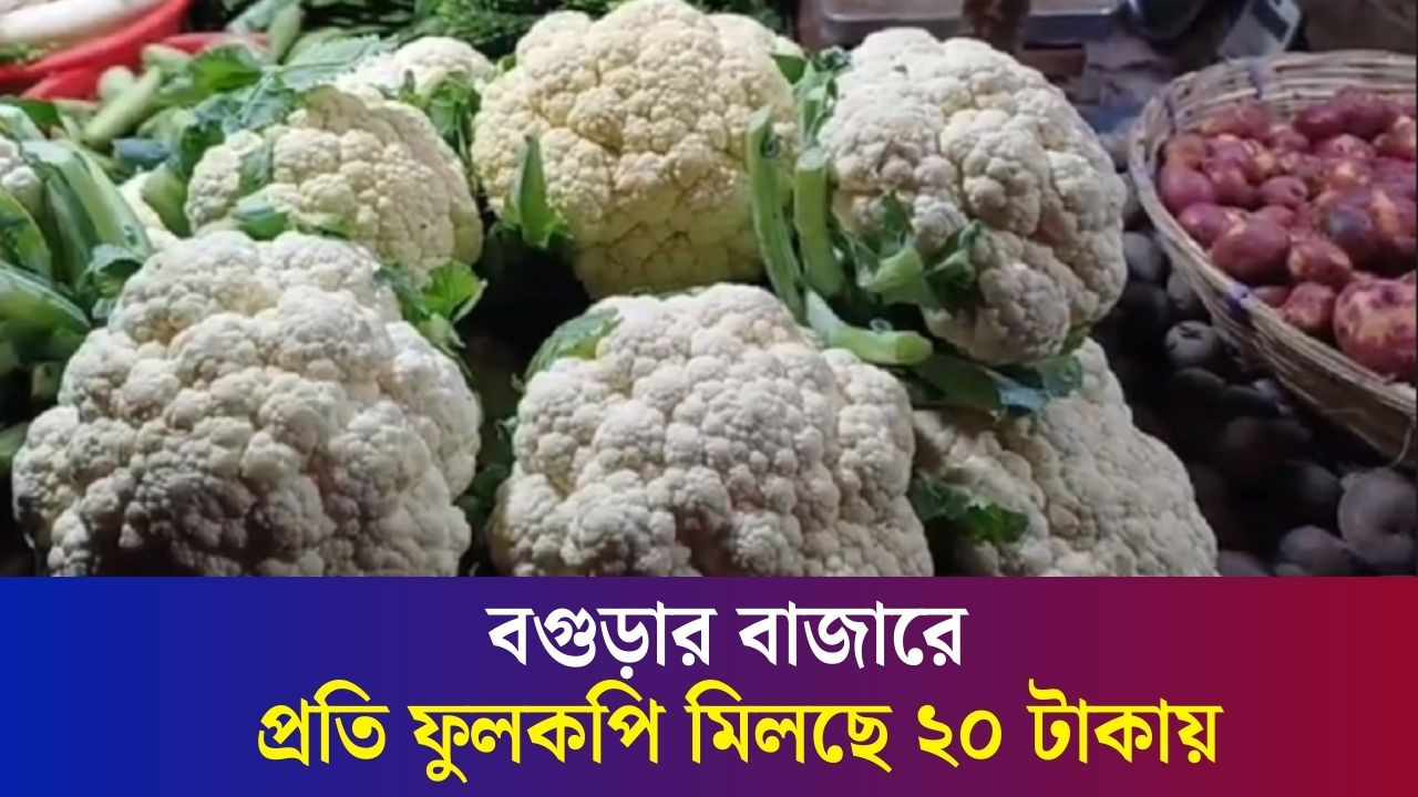 এক পিস ফুলকপি মহাস্থান বাজারে ২টাকা আর বগুড়ার বাজারে ২০টাকা
